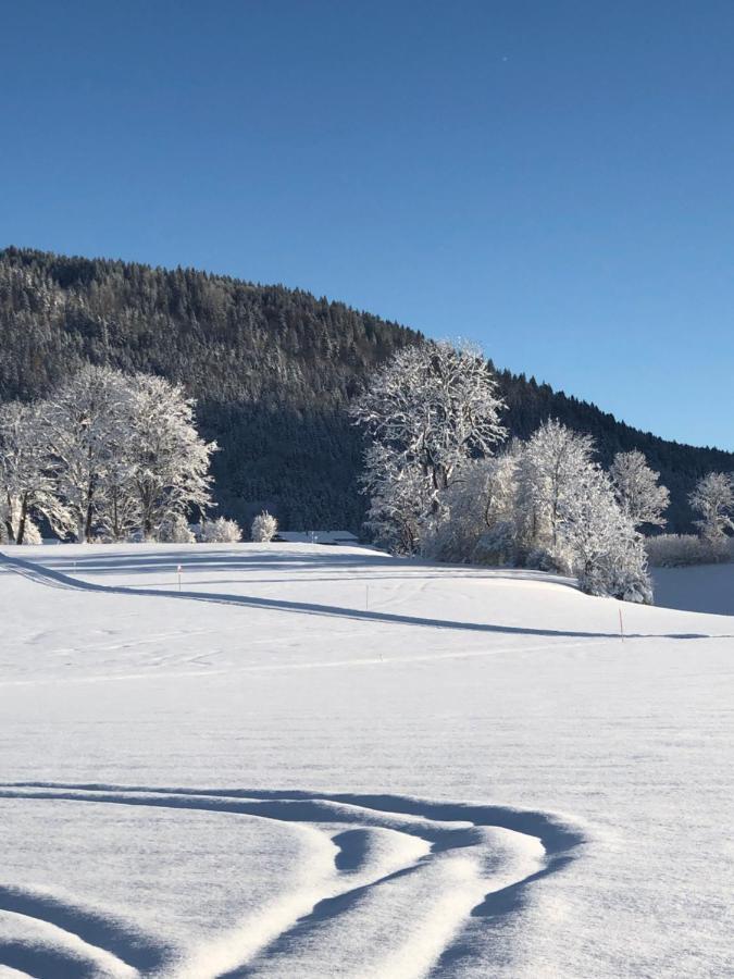 Lindenhof Inzell - Fewo Mit Chiemgaukarte Ngoại thất bức ảnh